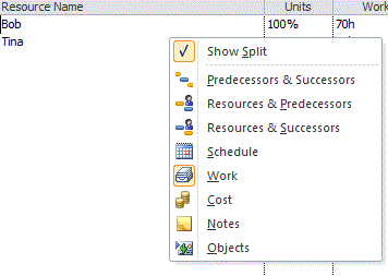 Using the details view in Microsoft Project - figure 7