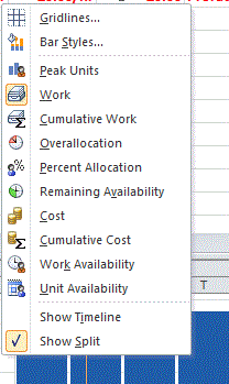 Using the details view in Microsoft Project - figure 8